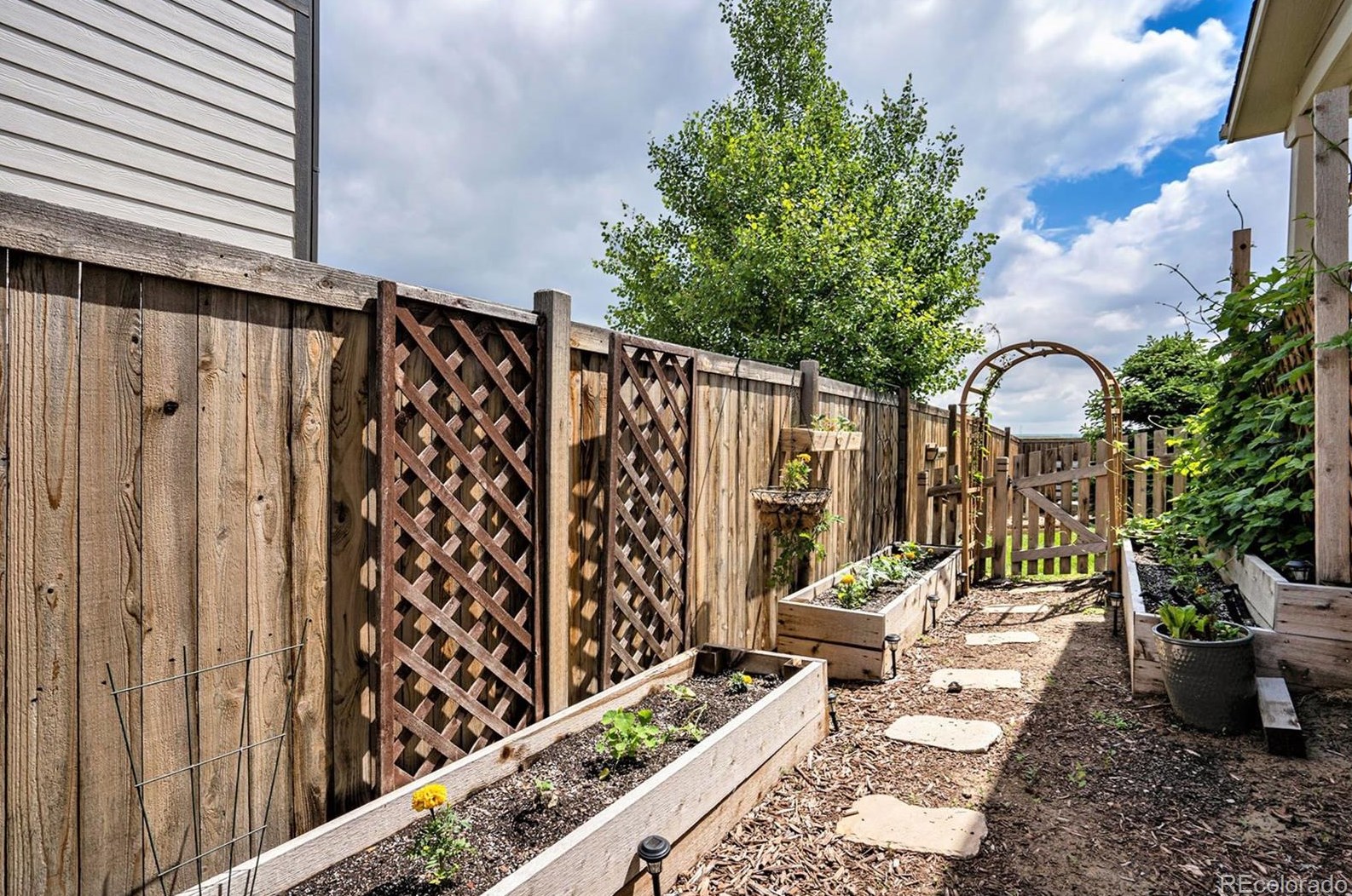 1130 Gln Creighton Dr, Erie CO 80514-9556 exterior