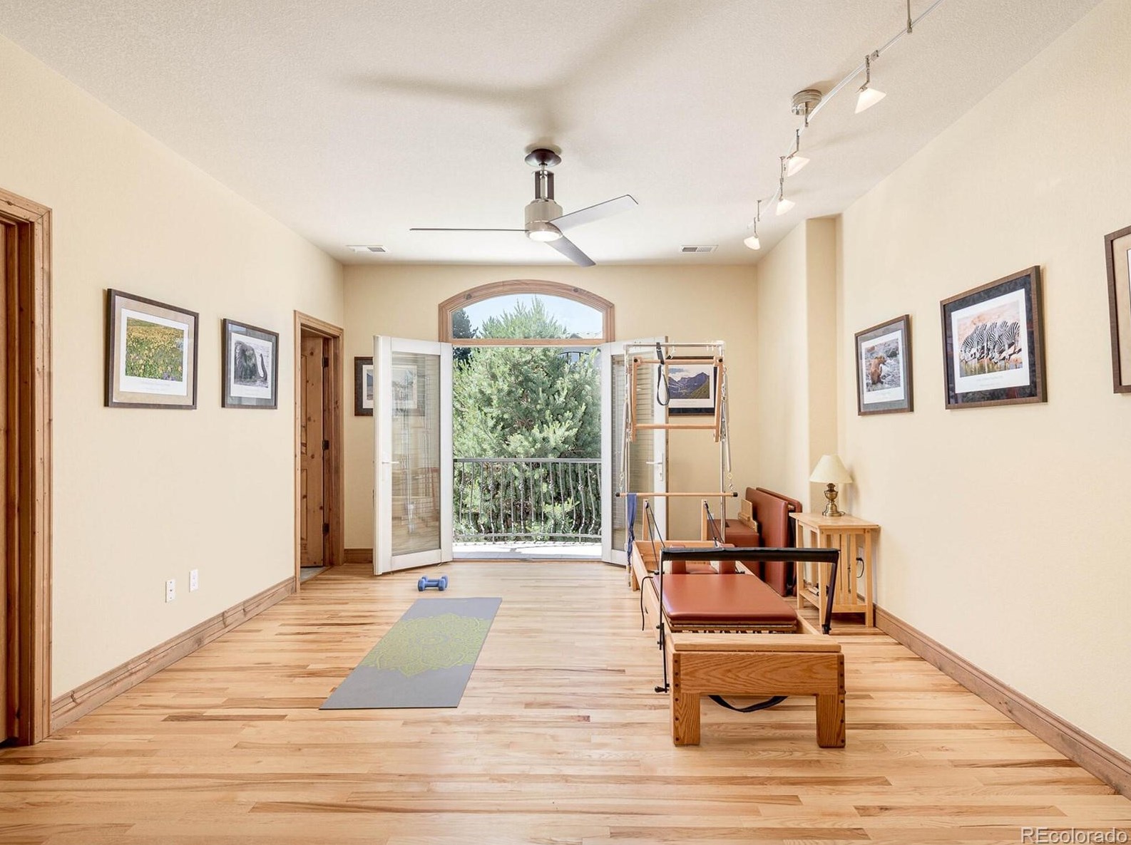 957 Fairchild Dr, Littleton CO 80126-4754 exterior