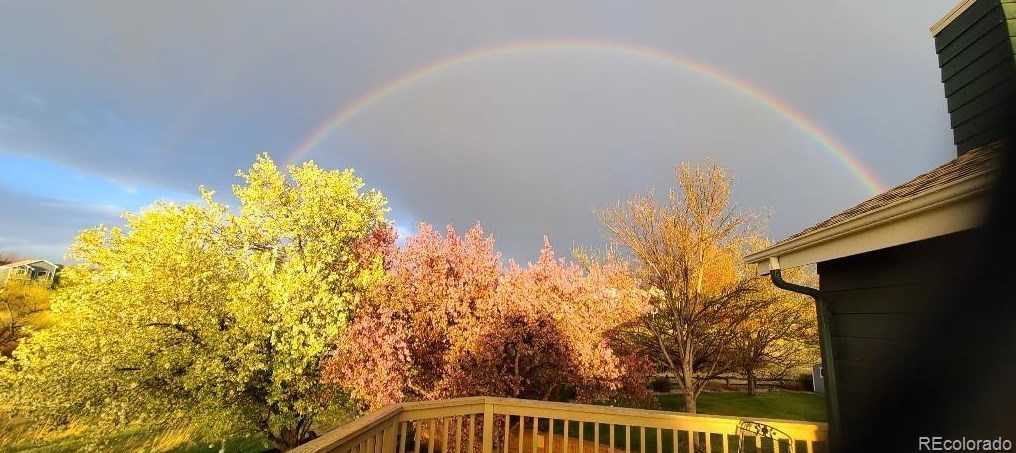 763 Wedgewood Ct, Littleton CO exterior