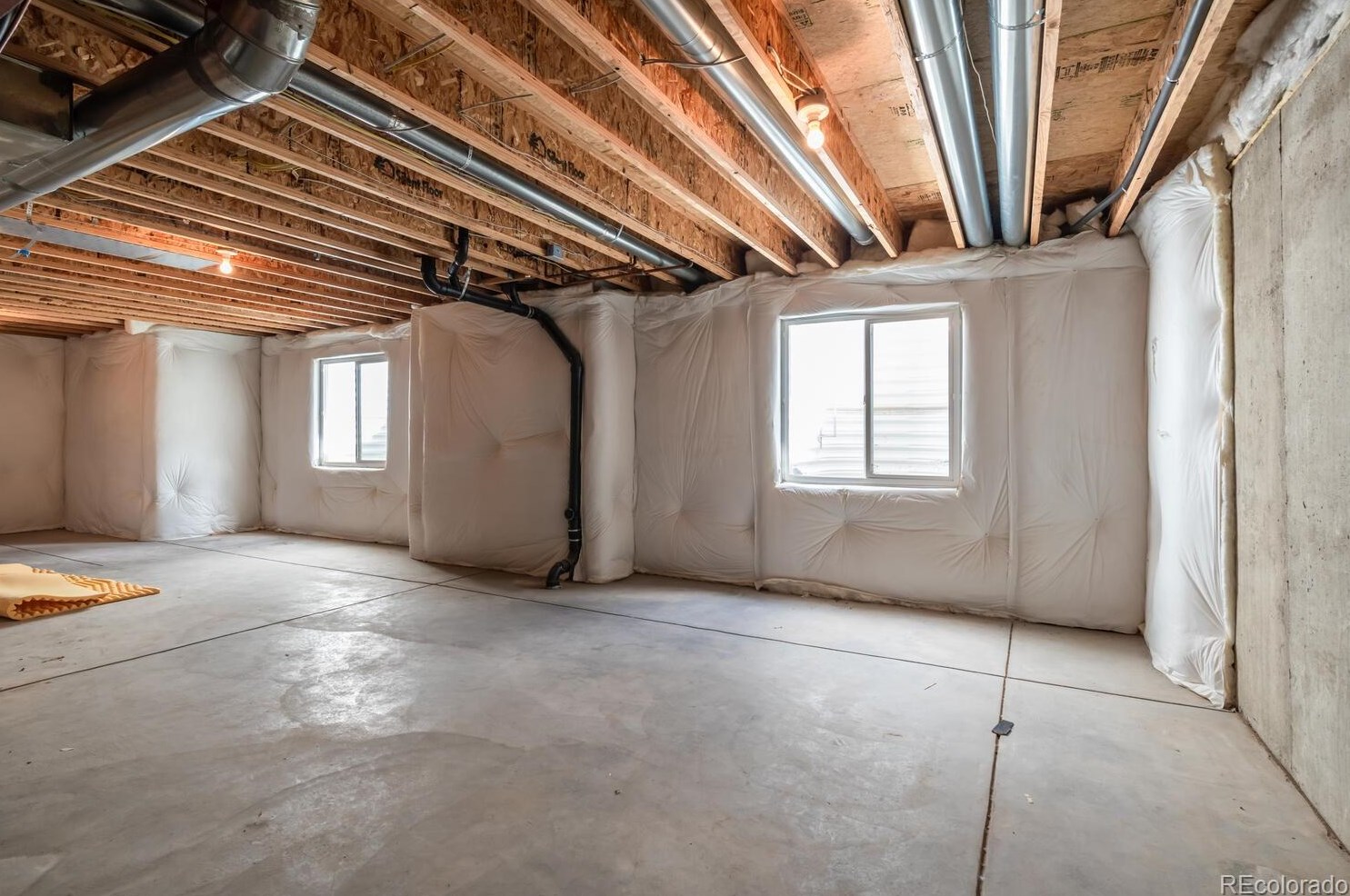 1410 Whitehall Dr, Longmont CO  80504-7998 exterior