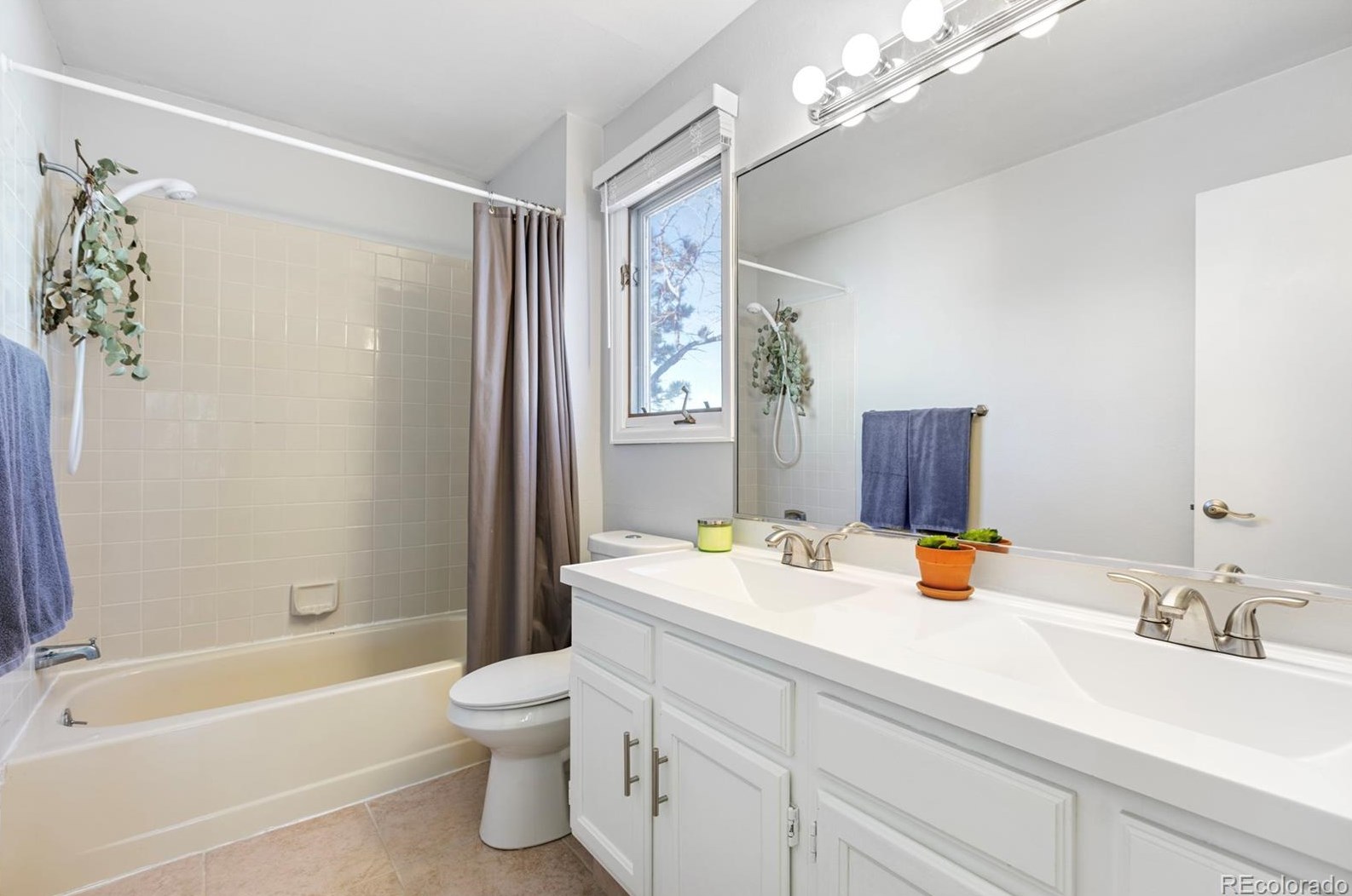 7985 Elati Cir, Littleton CO  80120-4441 exterior