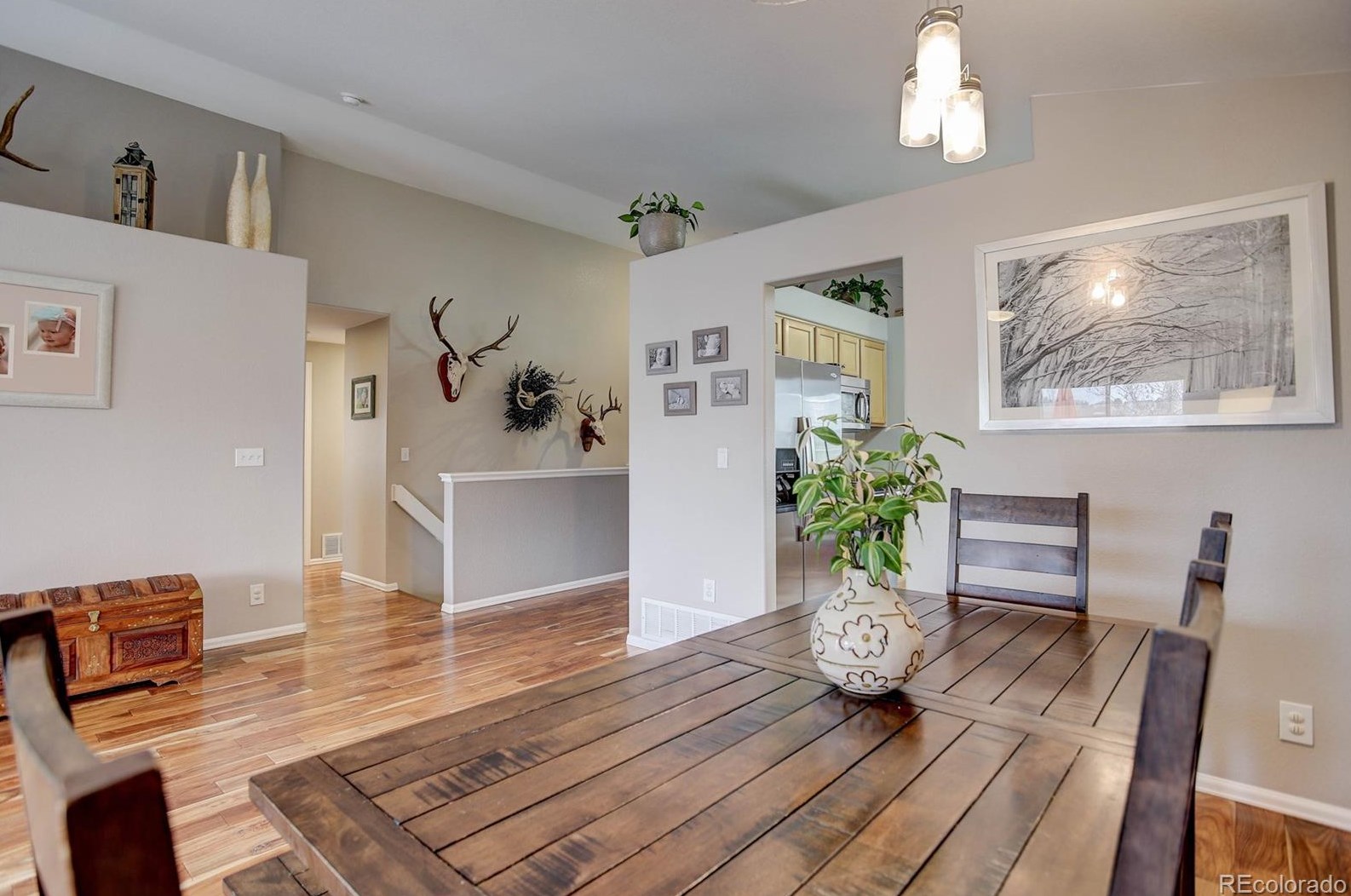 3737 Black Feather Trl, Castle Rock CO  80104-7833 exterior