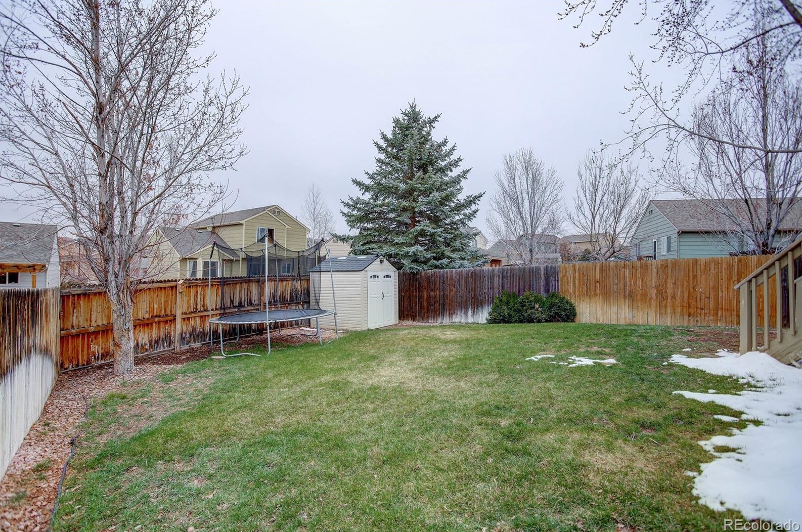 3737 Black Feather Trl, Castle Rock CO  80104-7833 exterior