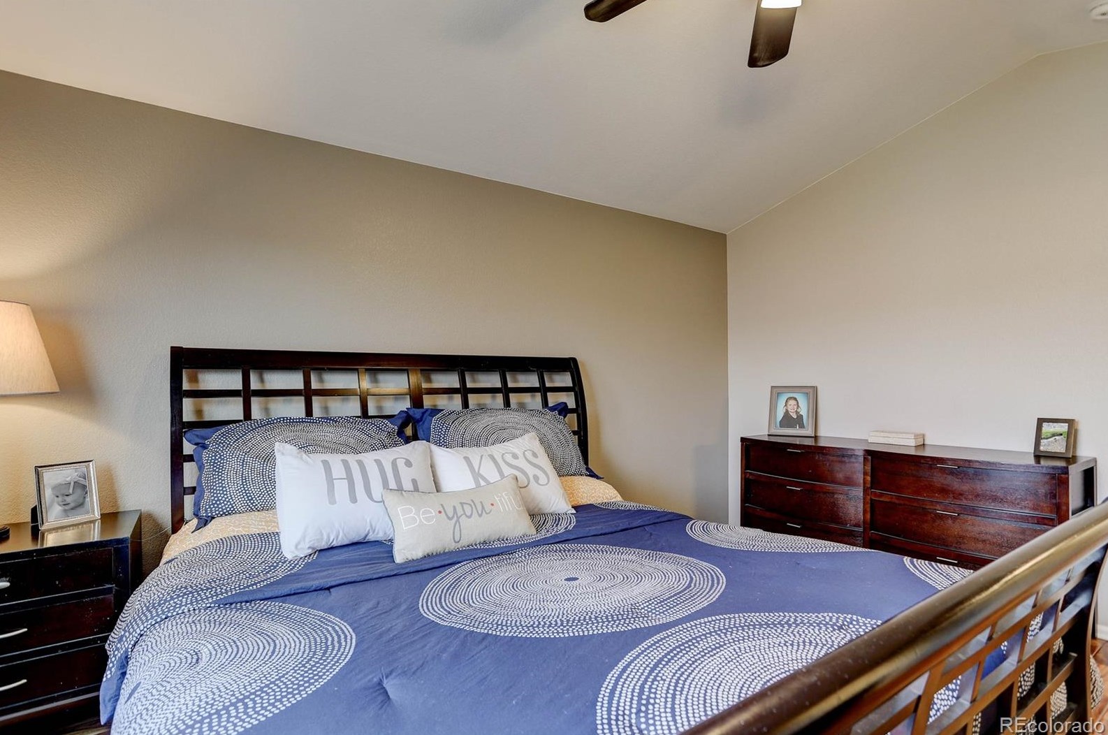 3737 Black Feather Trl, Castle Rock CO  80104-7833 exterior