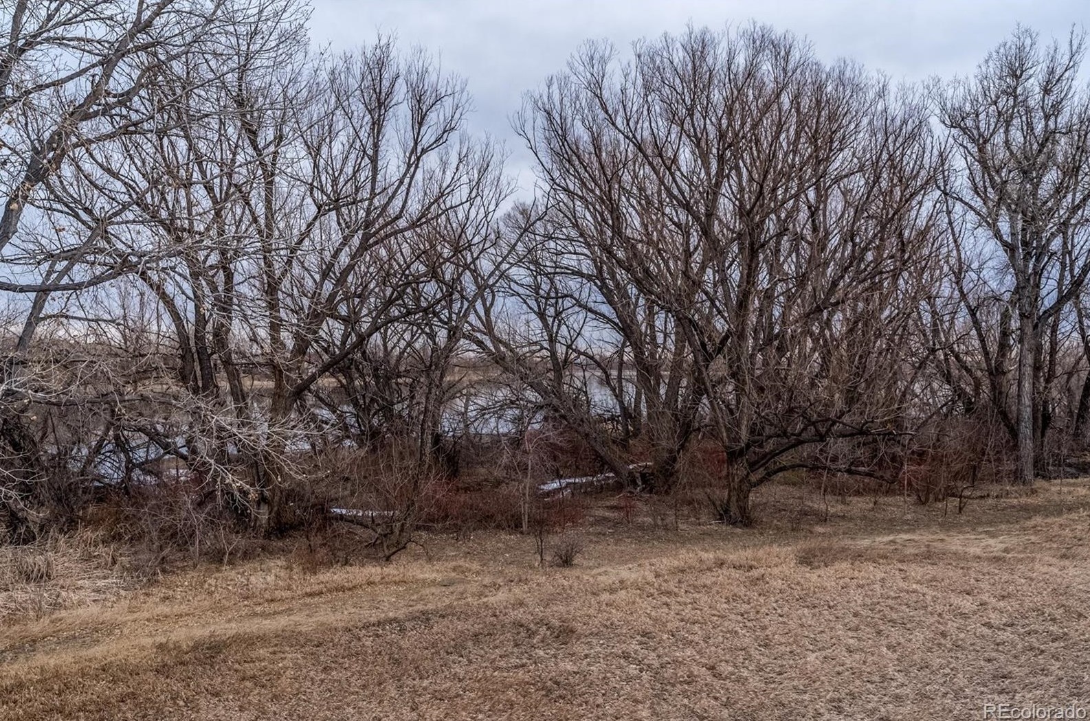 5092 Allison Way, Littleton CO 80128-4455 exterior