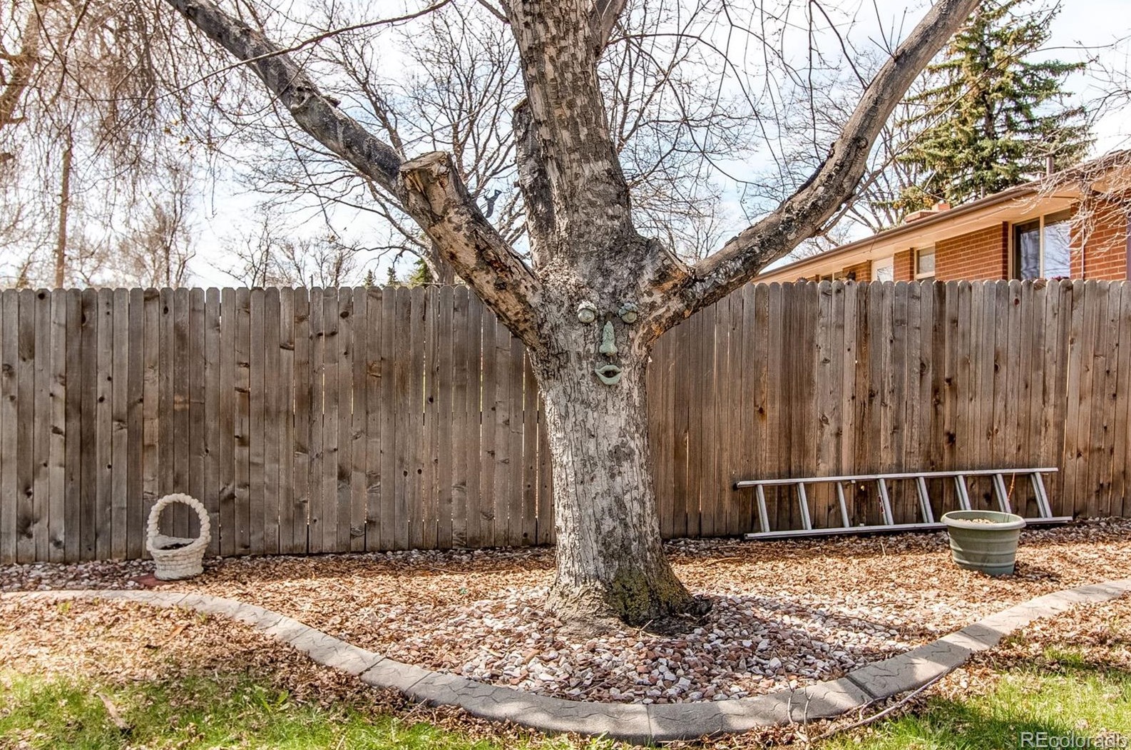 7514 Reed St, Arvada CO  80003-2770 exterior