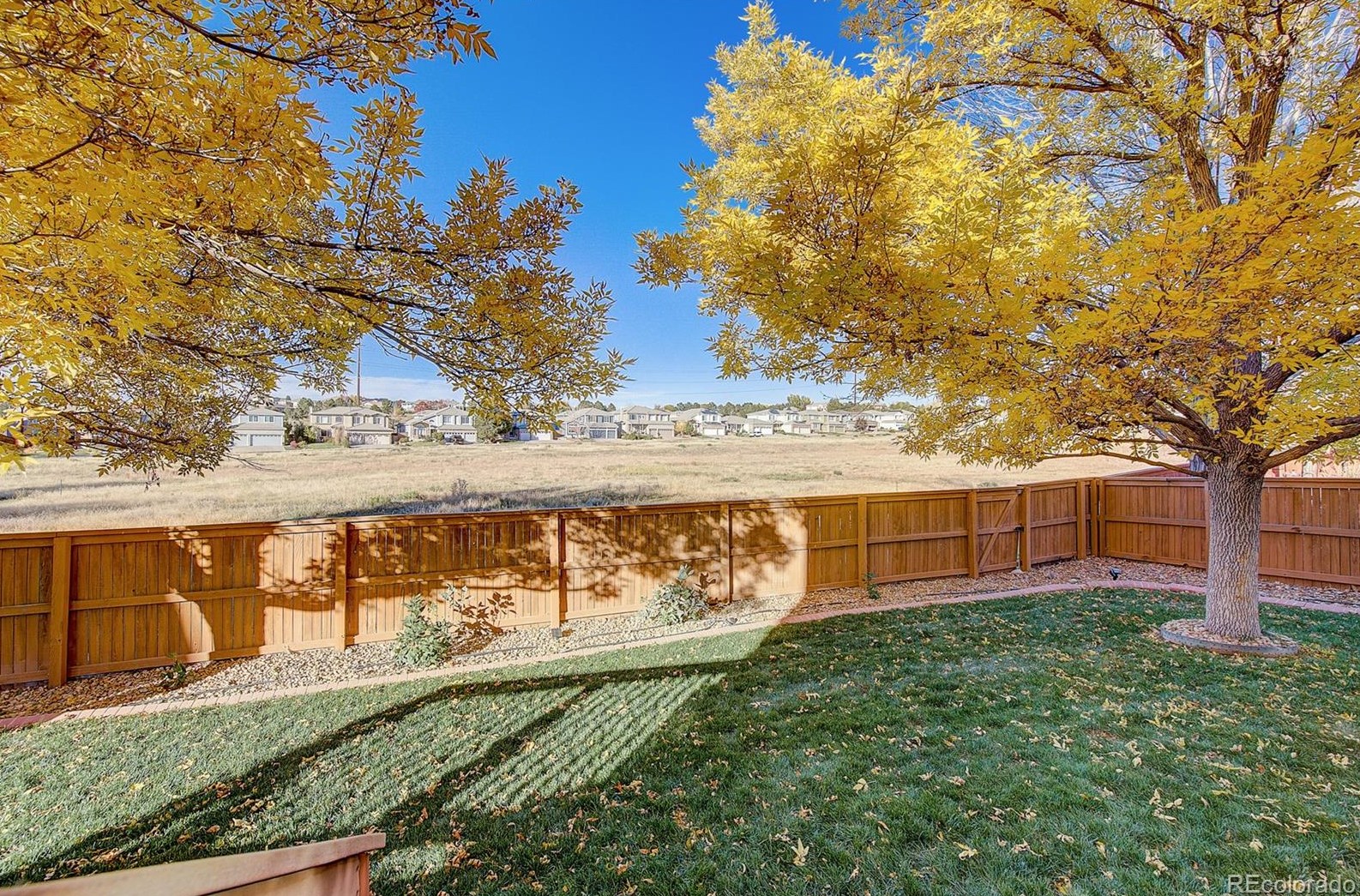 2661 Cactus Blf Pl, Littleton CO 80129-6455 exterior