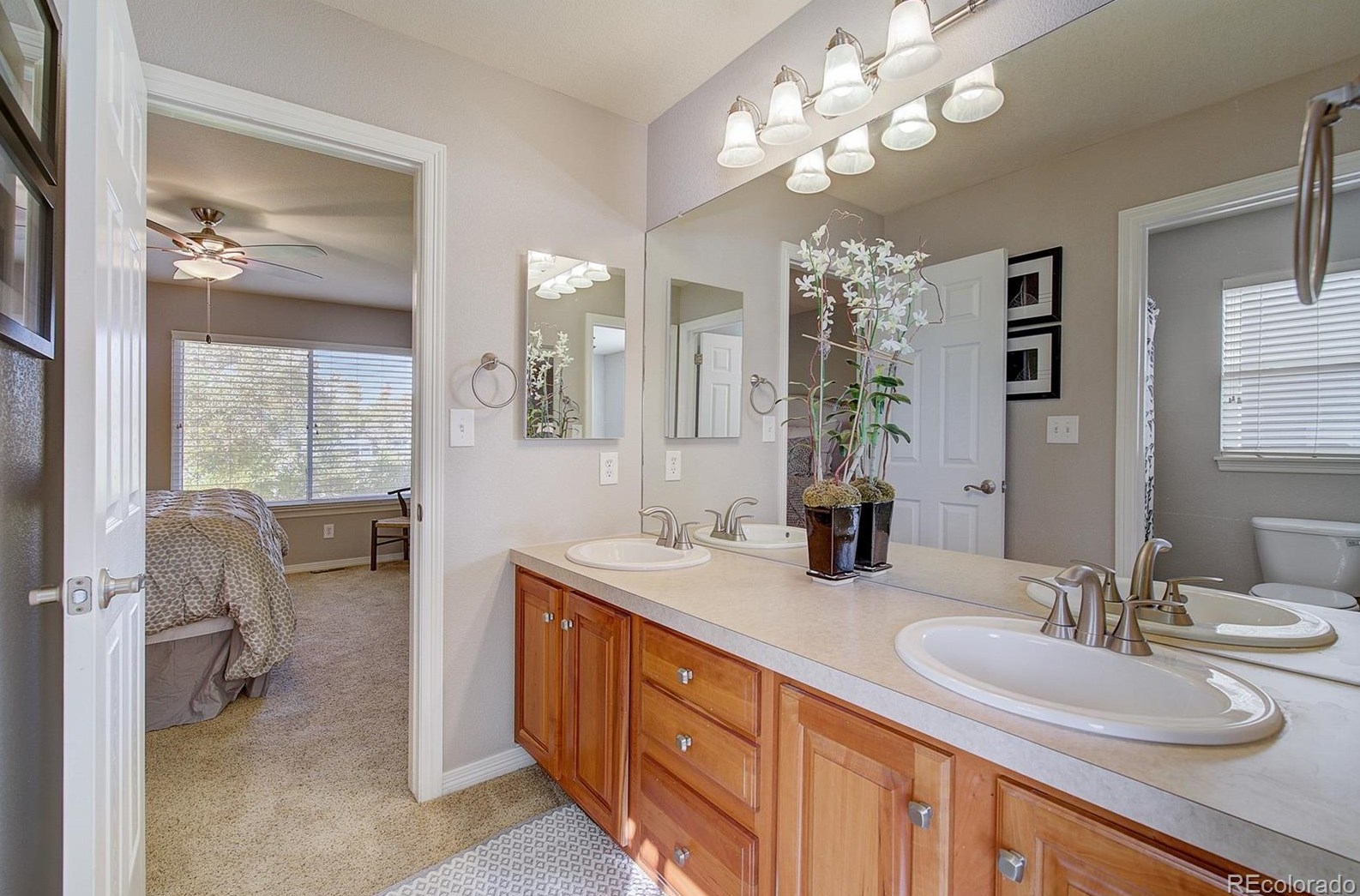 2661 Cactus Blf Pl, Littleton CO 80129-6455 exterior