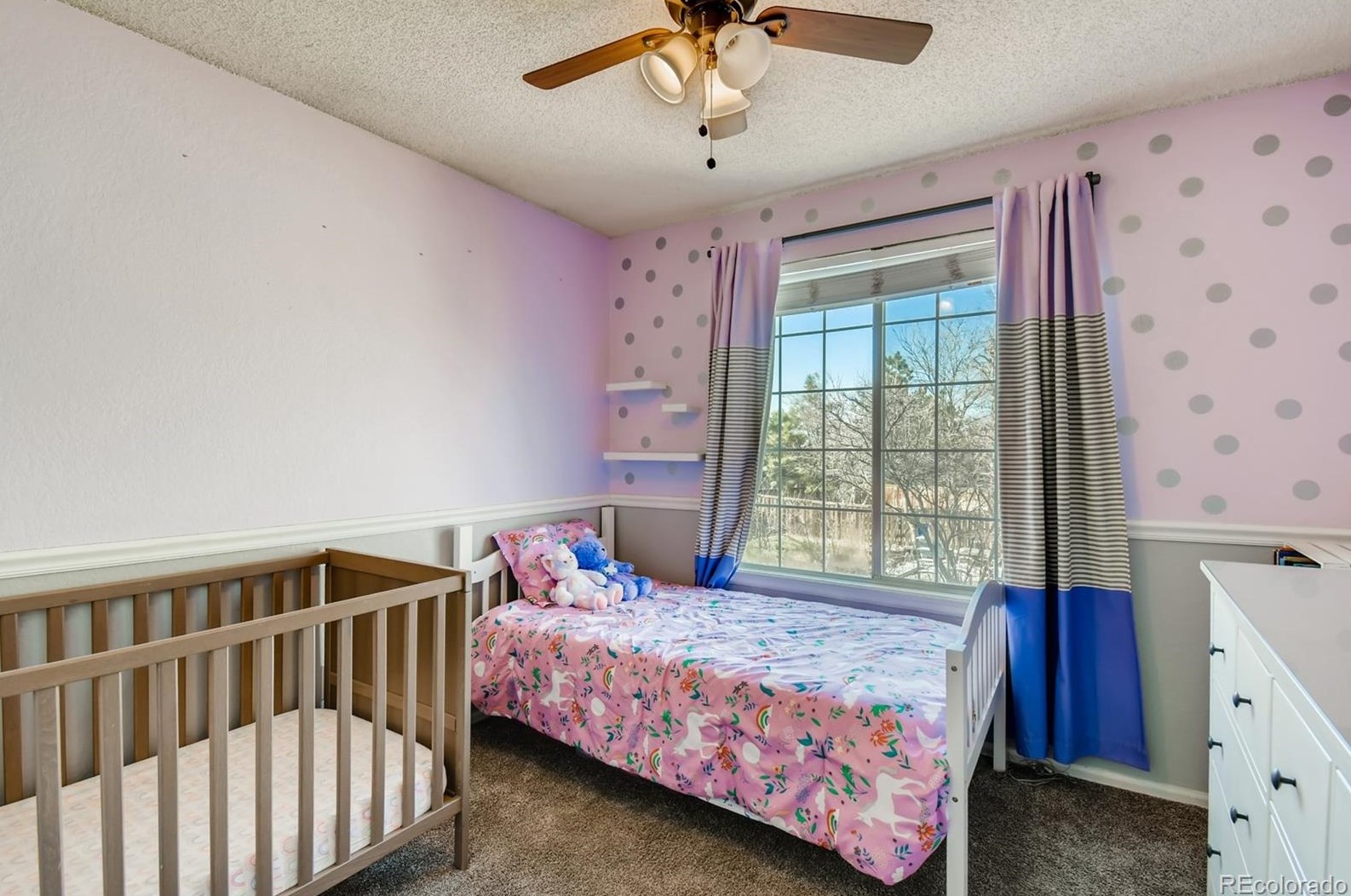 9351 Balsam Ct, Littleton CO 80128-5541 exterior