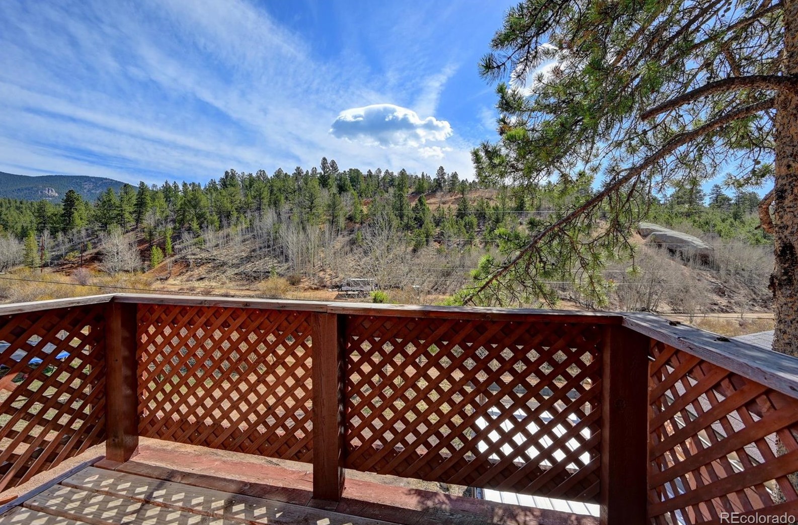 387 Ward St, Bailey CO  80421-1453 exterior