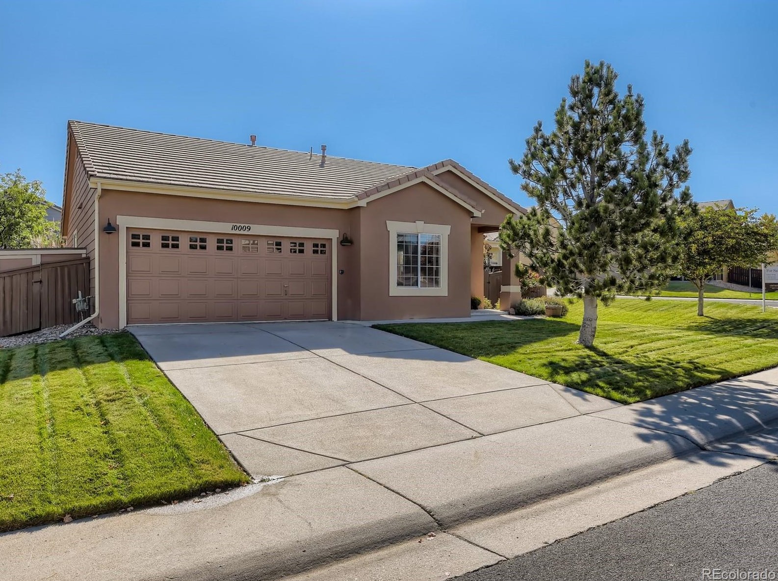 10009 Kingston Ct, Littleton CO exterior