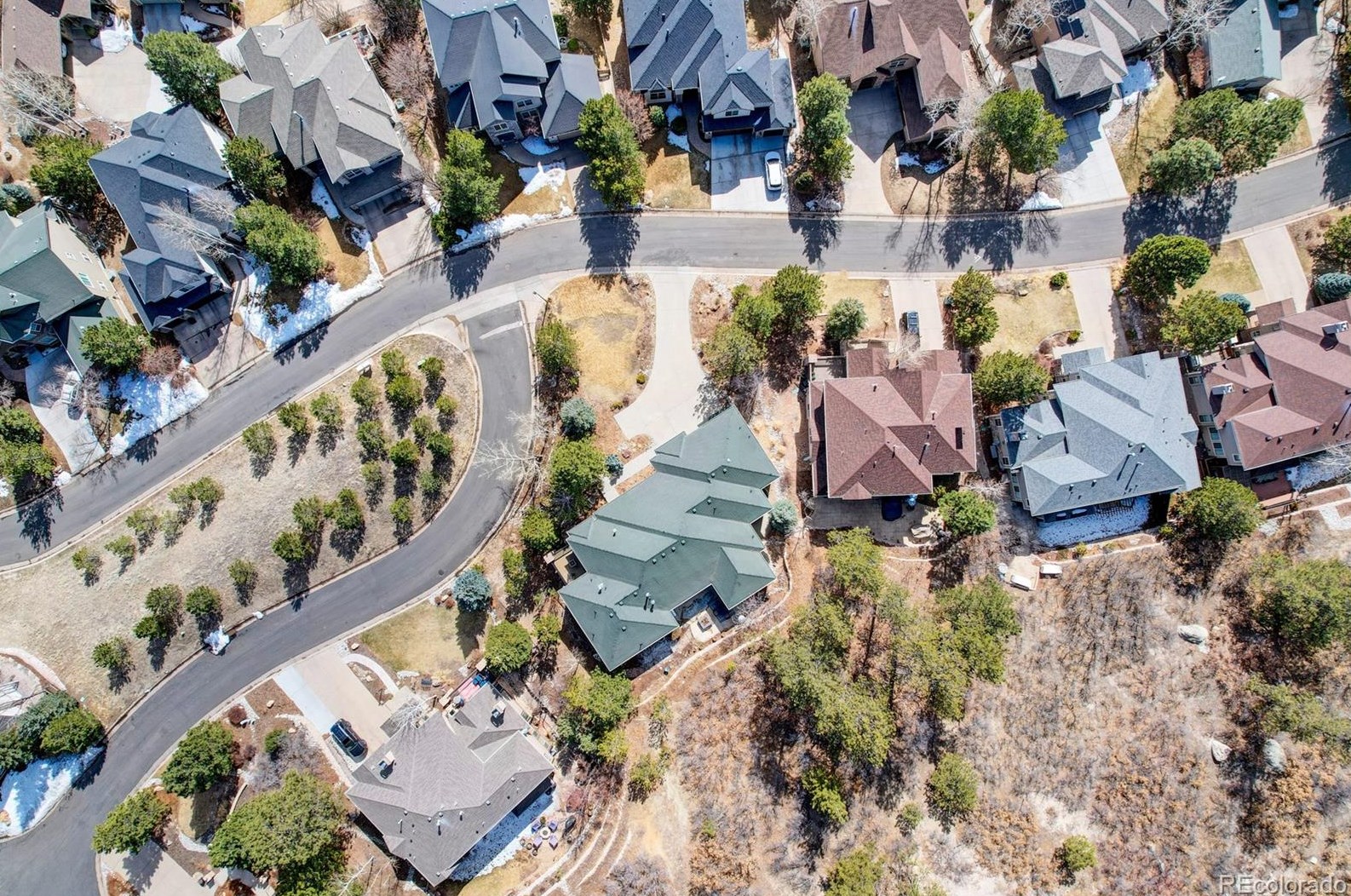 1319 Frst Trl Dr, Castle Rock CO 80108-8280 exterior