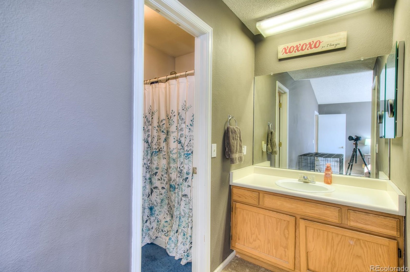 96 Amherst St, Castle Rock CO 80104-8953 exterior