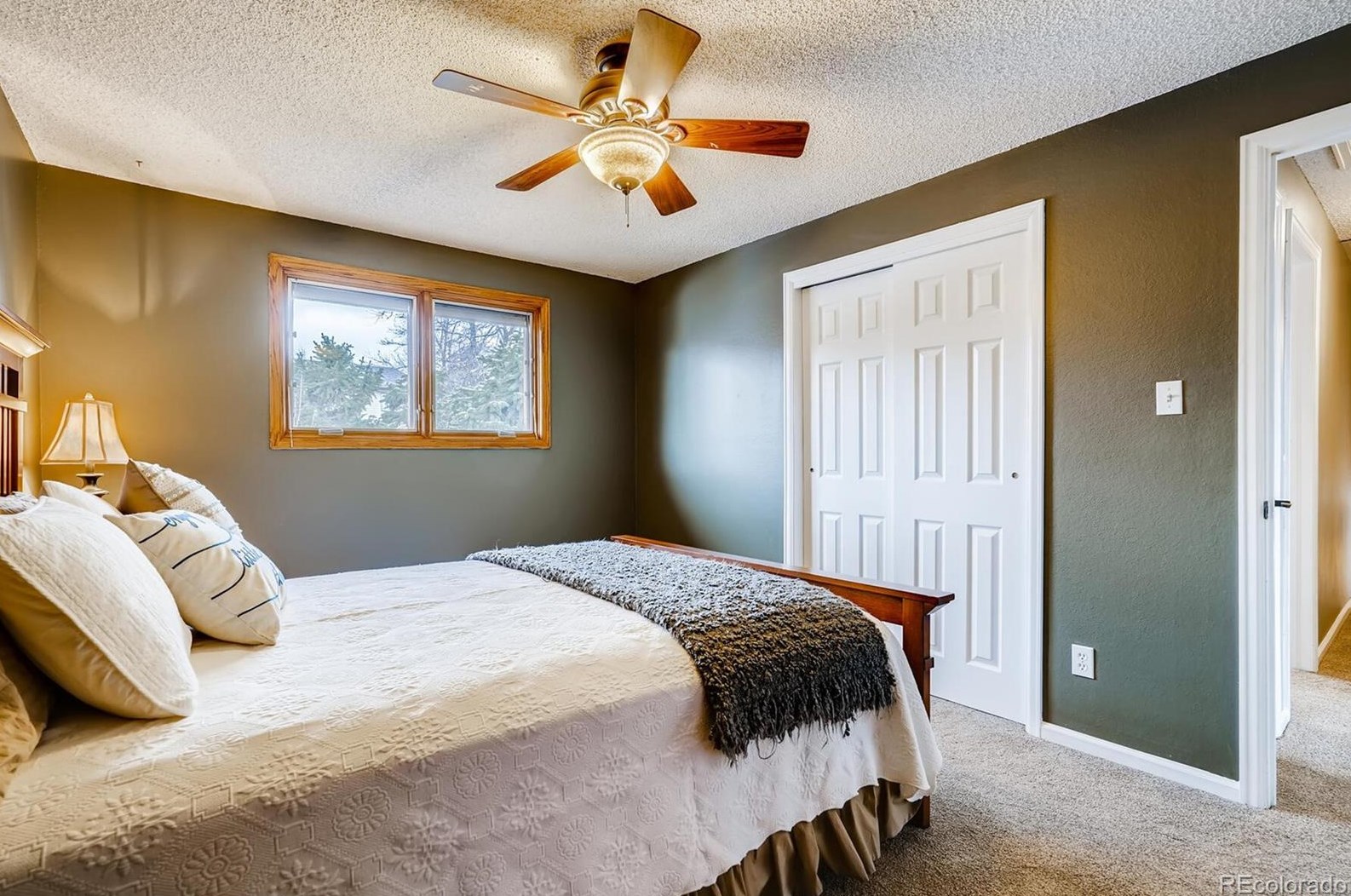 696 Altair Dr, Littleton CO 80124-2502 exterior