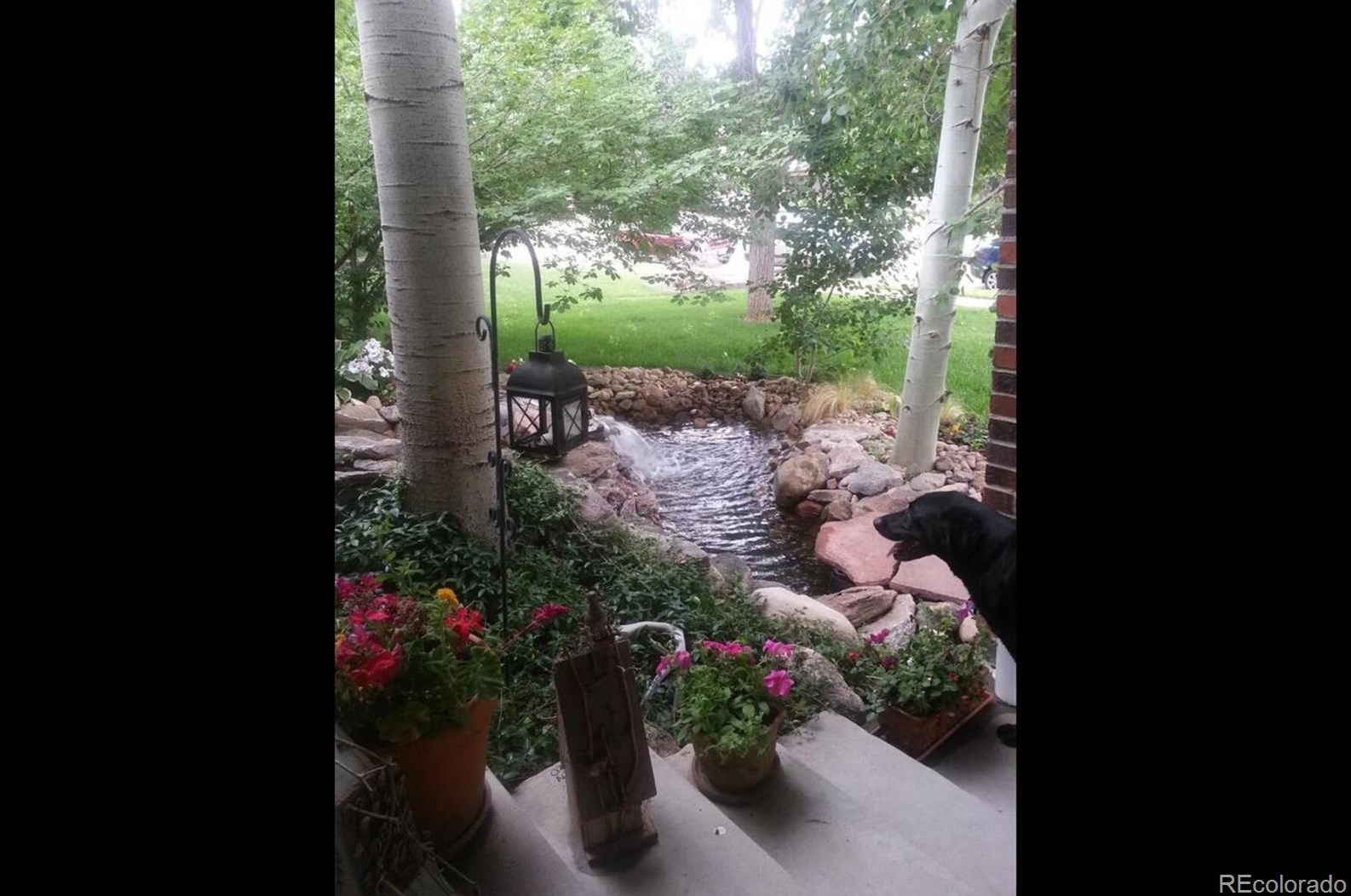 696 Altair Dr, Littleton CO 80124-2502 exterior