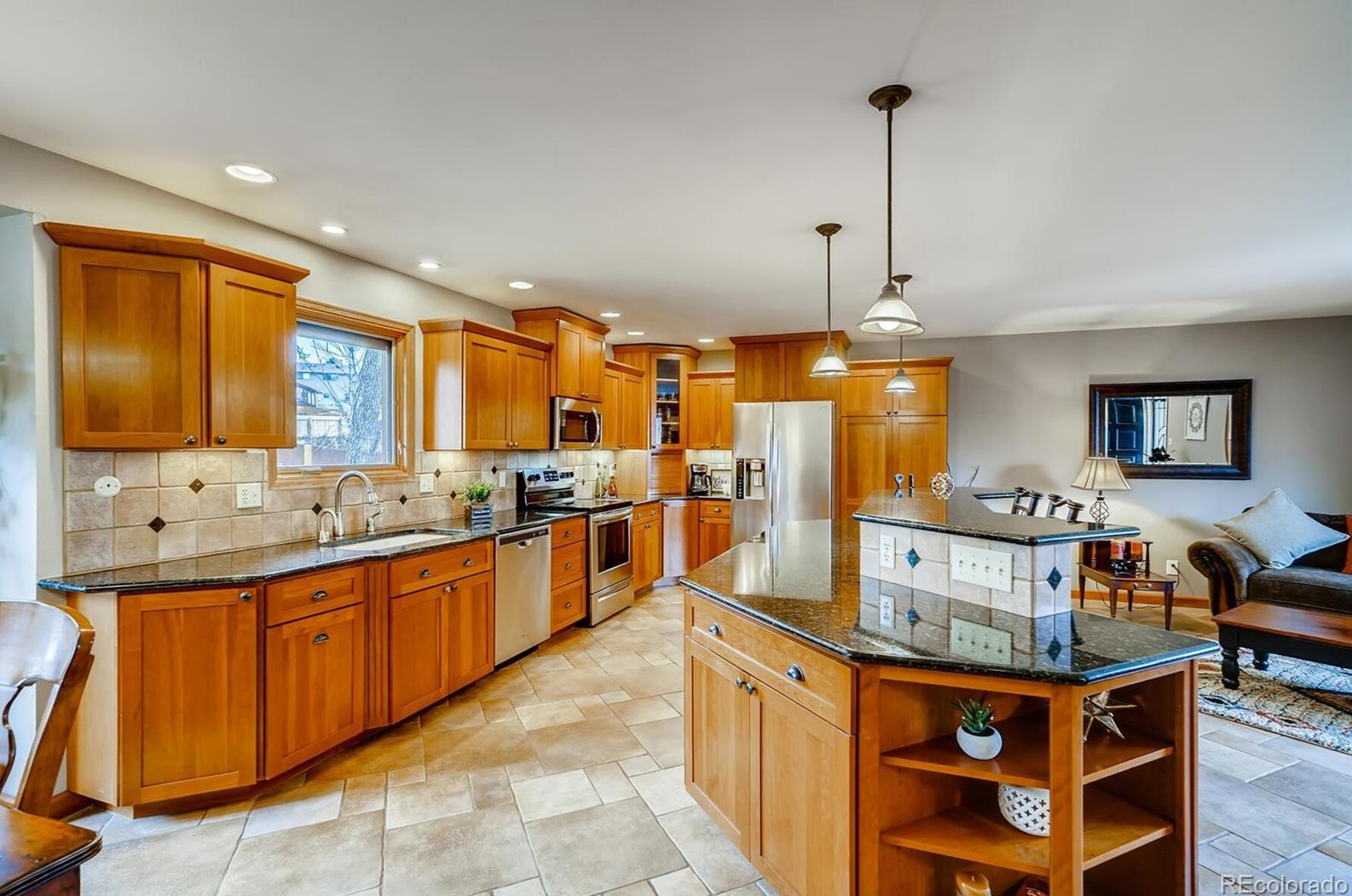 696 Altair Dr, Littleton CO 80124-2502 exterior