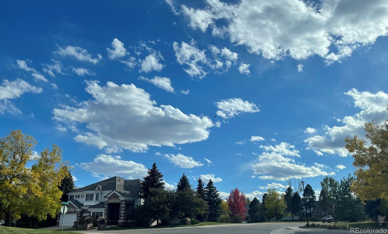 10019 Longview Dr, Littleton CO 80124-9750 exterior