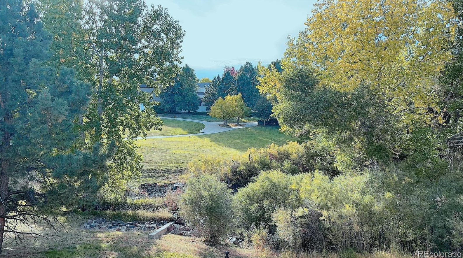 10019 Longview Dr, Littleton CO 80124-9750 exterior