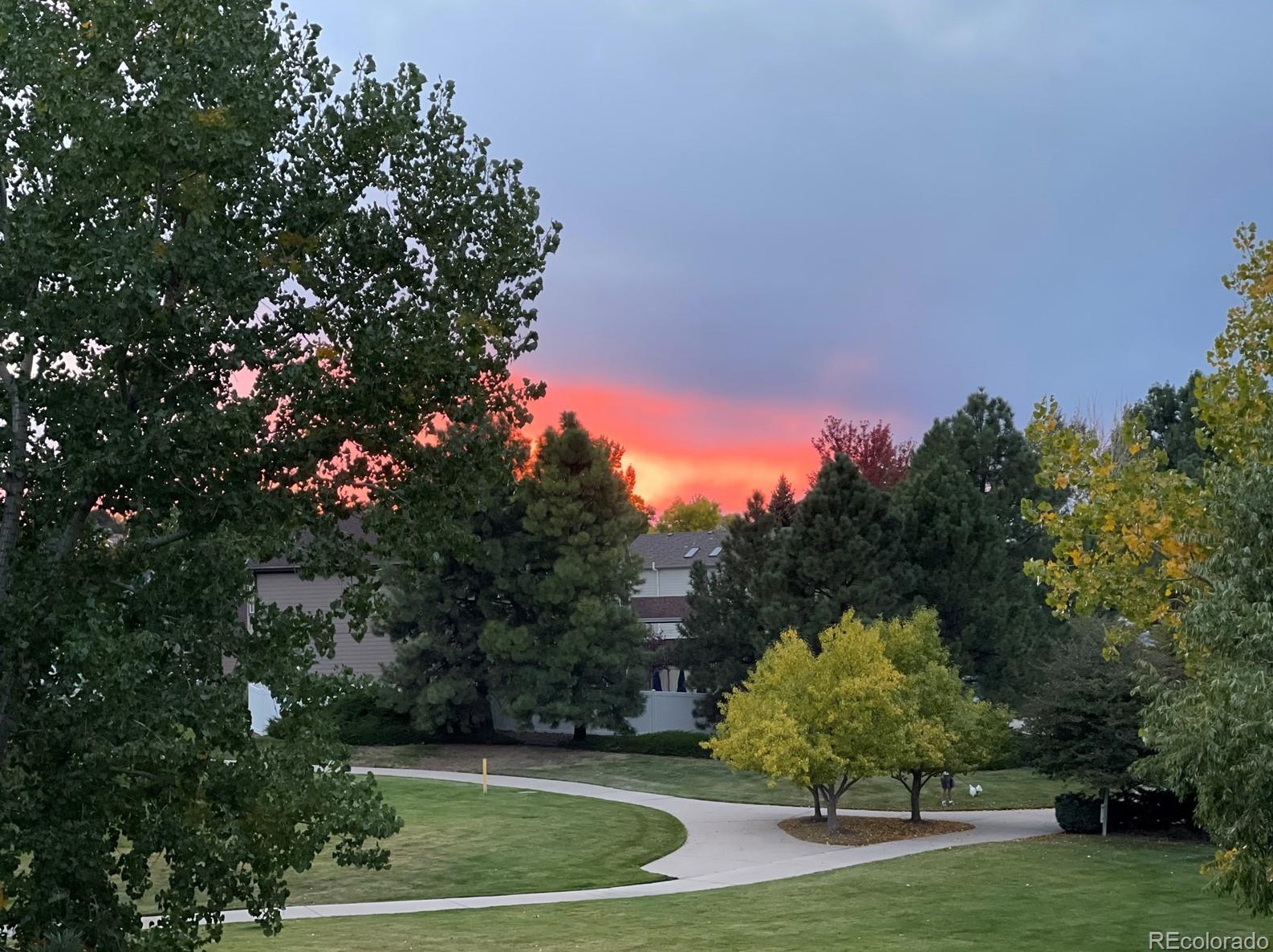 10019 Longview Dr, Littleton CO 80124-9750 exterior