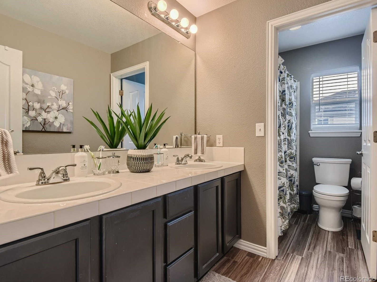 9649 Jellison Way, Littleton CO 80123-1181 exterior