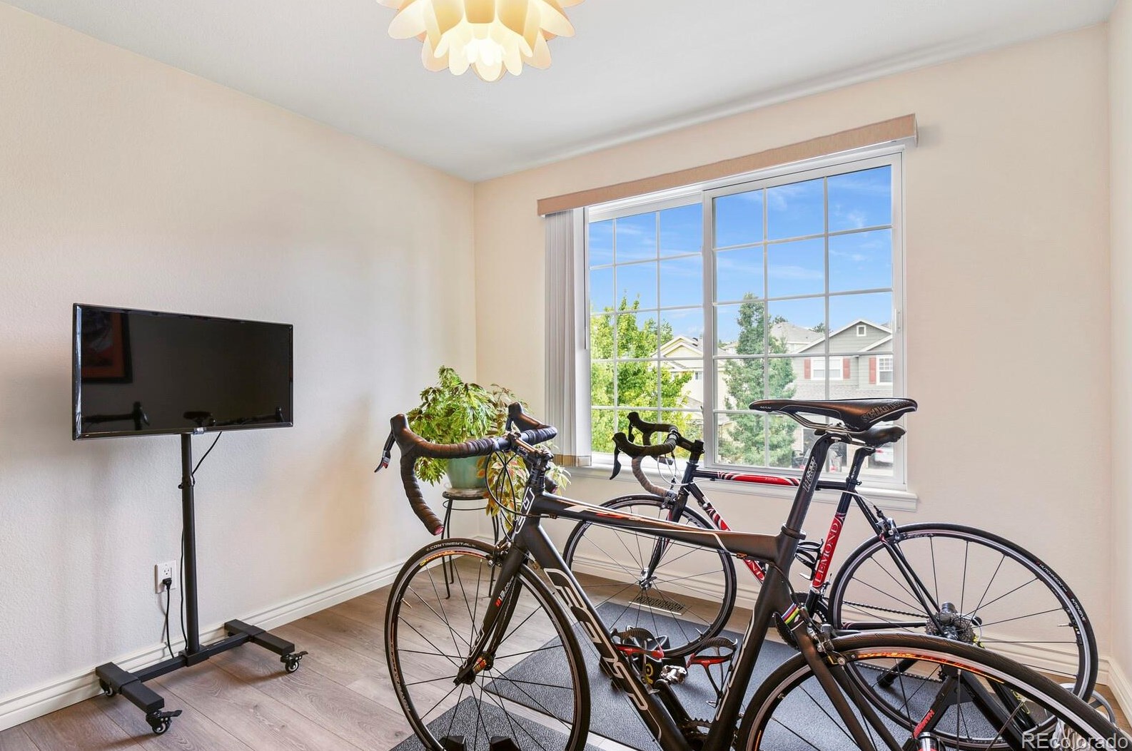 839 Deer Clover Way, Castle Rock CO 80108-8206 exterior