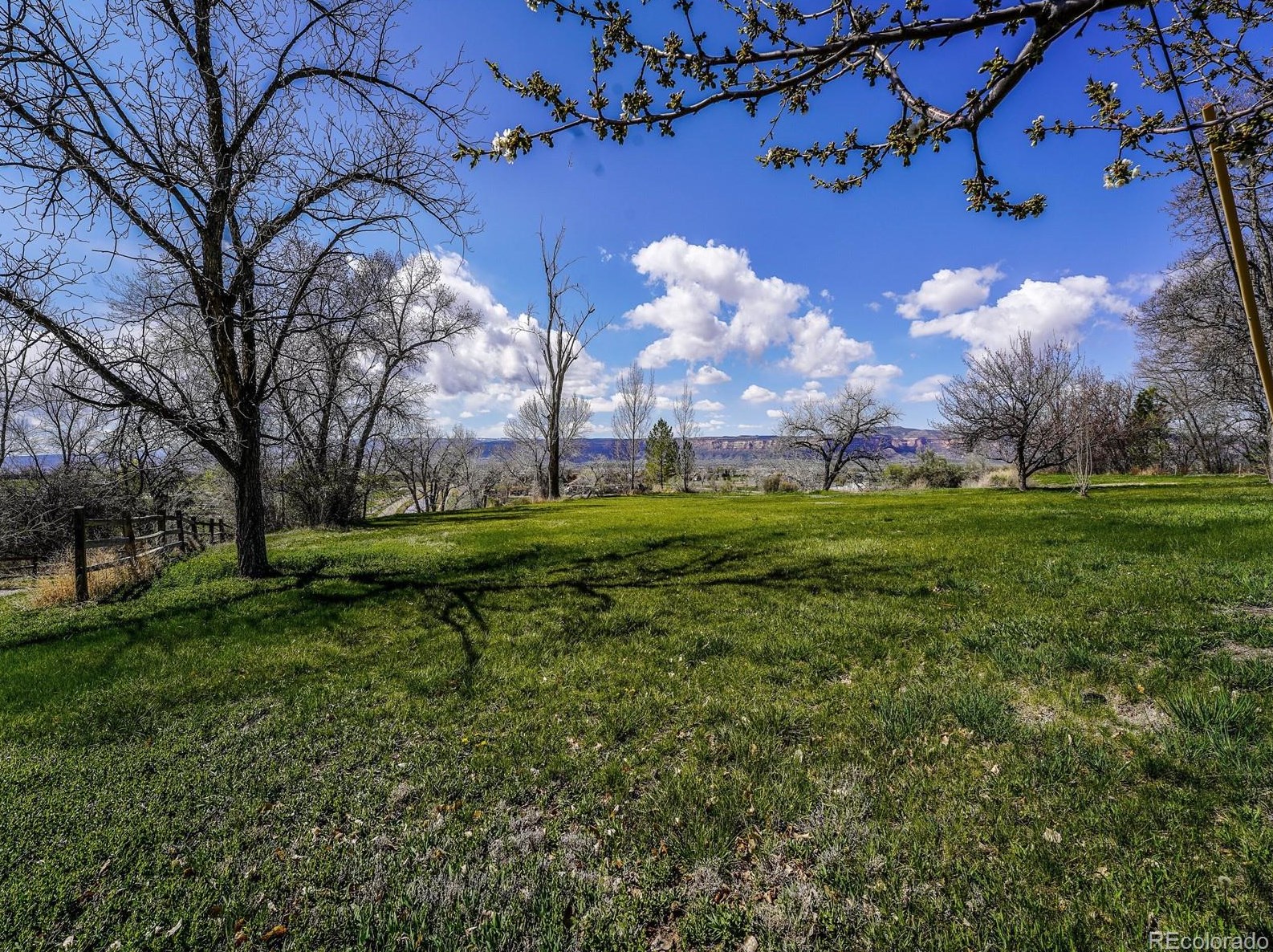 2326 I Rd, Grand Junction CO 81505-9645 exterior