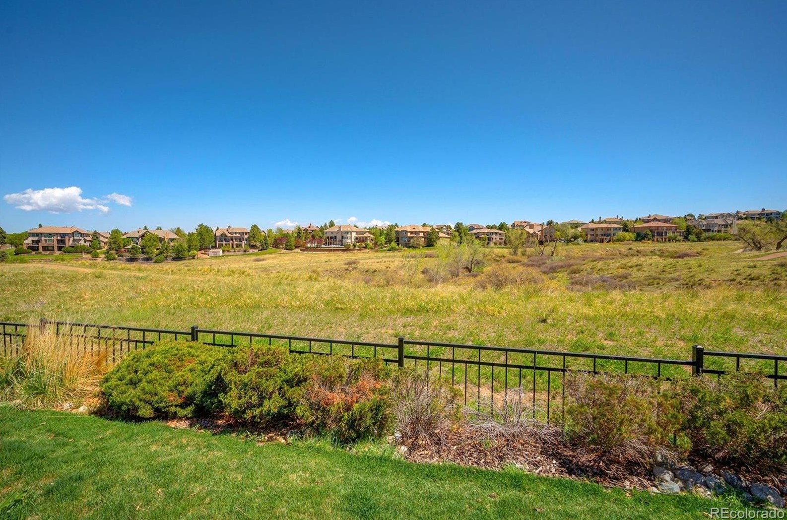 10257 Pennington Ln, Littleton CO exterior