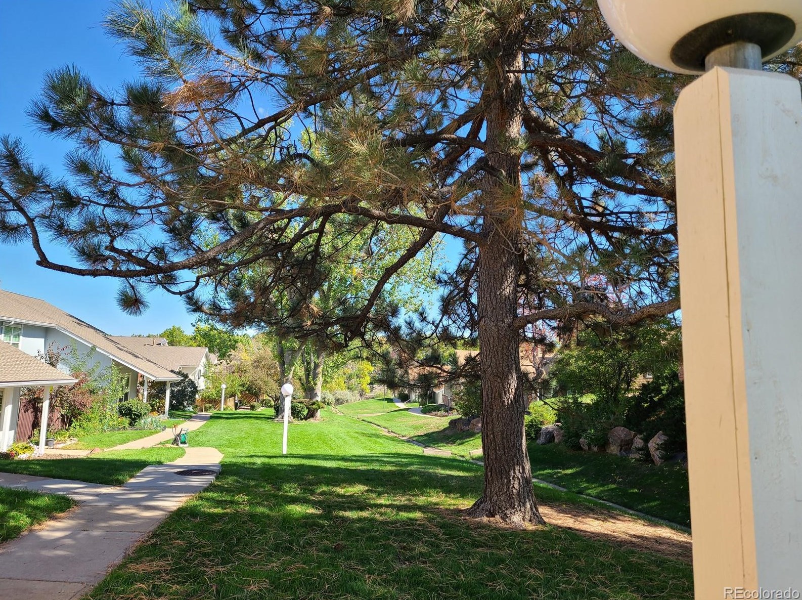 7079 Knolls Way, Littleton CO 80122-1750 exterior