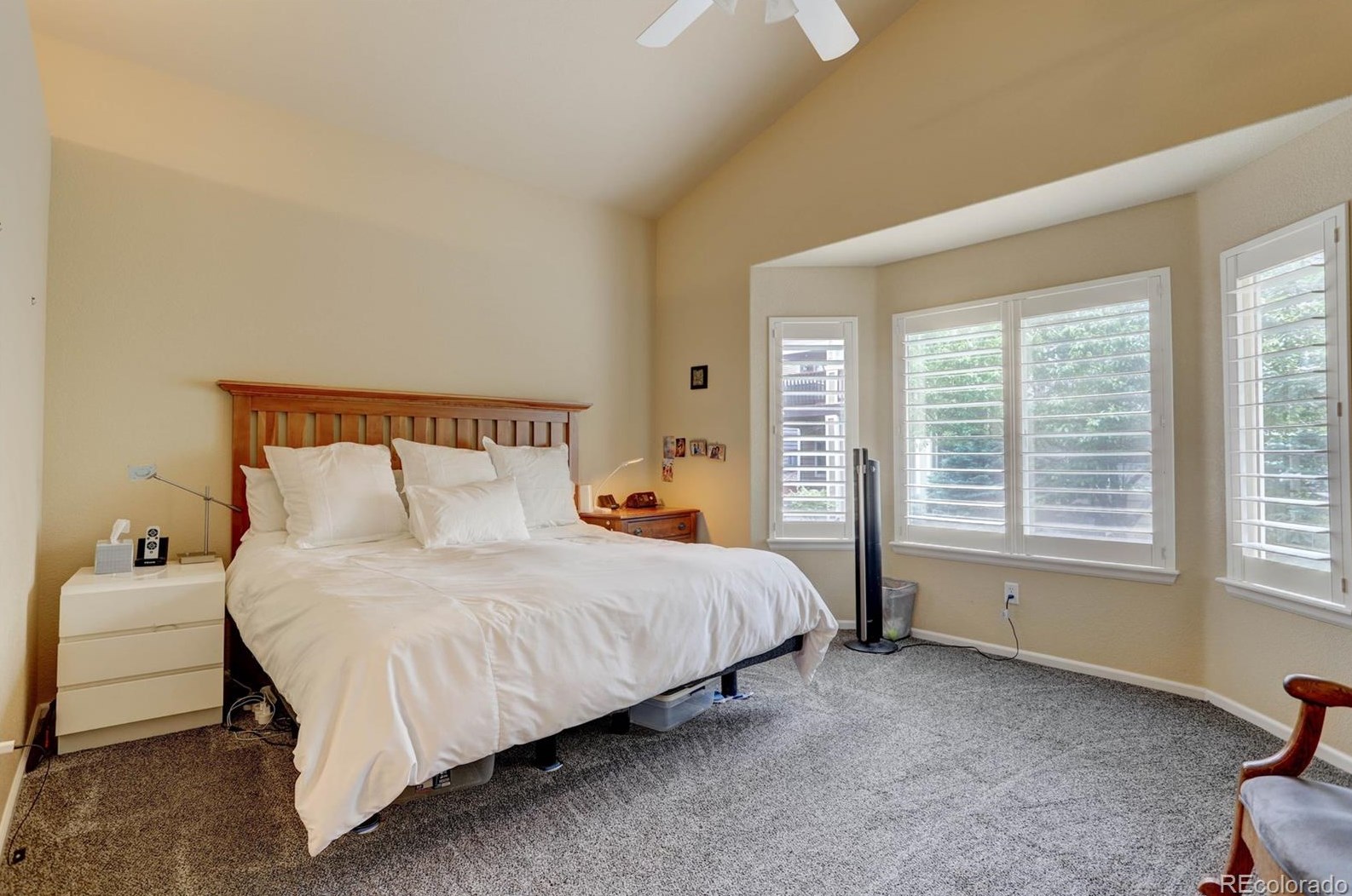 8982 Meadow Hill Cir, Littleton CO 80124-5430 exterior