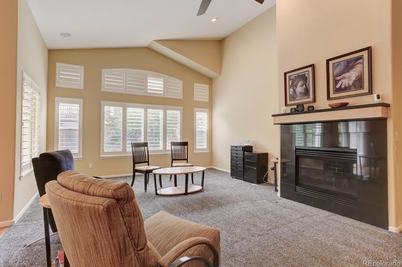 8982 Meadow Hill Cir, Littleton CO 80124-5430 exterior