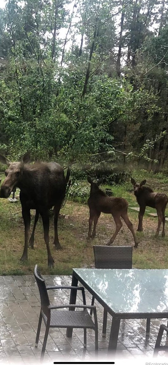 961 Lodge Pole Dr, Arvada CO  80422-8969 exterior