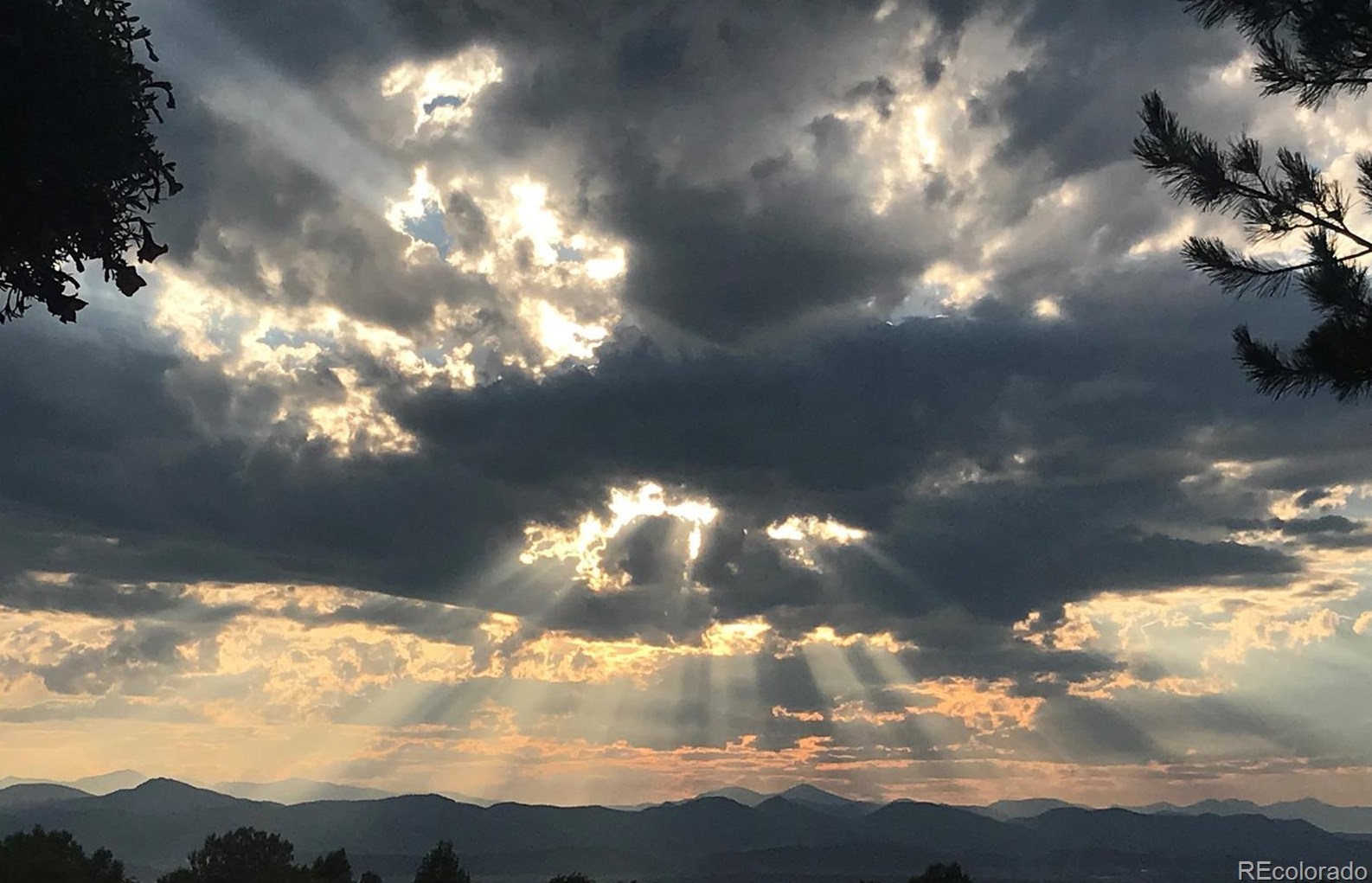 9847 Isabel Ct, Littleton CO exterior