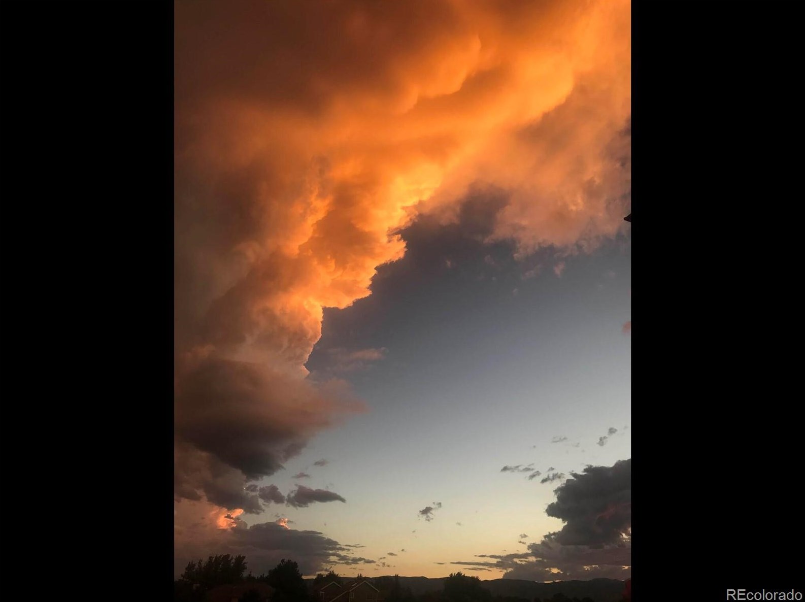 9847 Isabel Ct, Littleton CO exterior