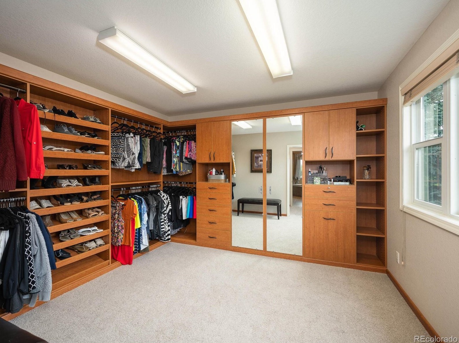 9847 Isabel Ct, Littleton CO exterior