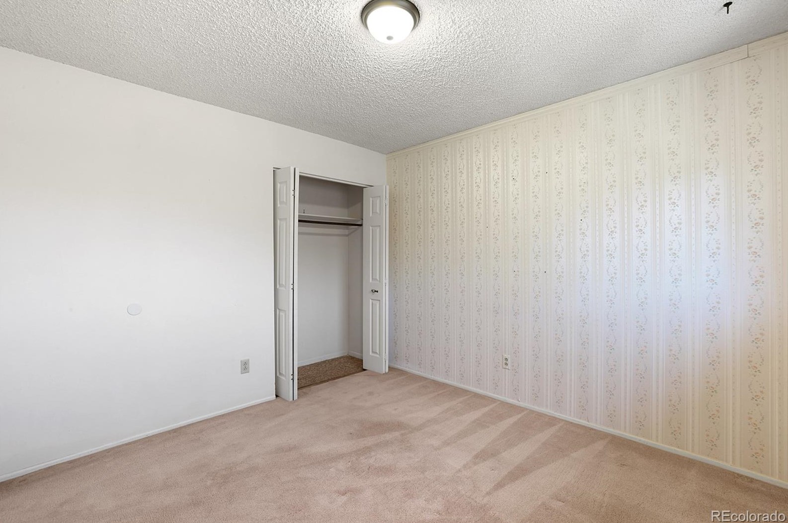 1595 Luna Vis St, Colorado Springs CO 80911-2429 exterior