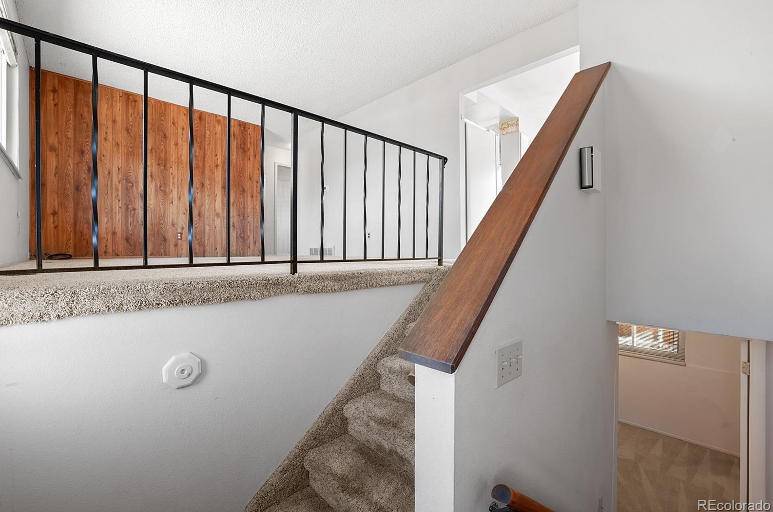 1595 Luna Vis St, Colorado Springs CO 80911-2429 exterior