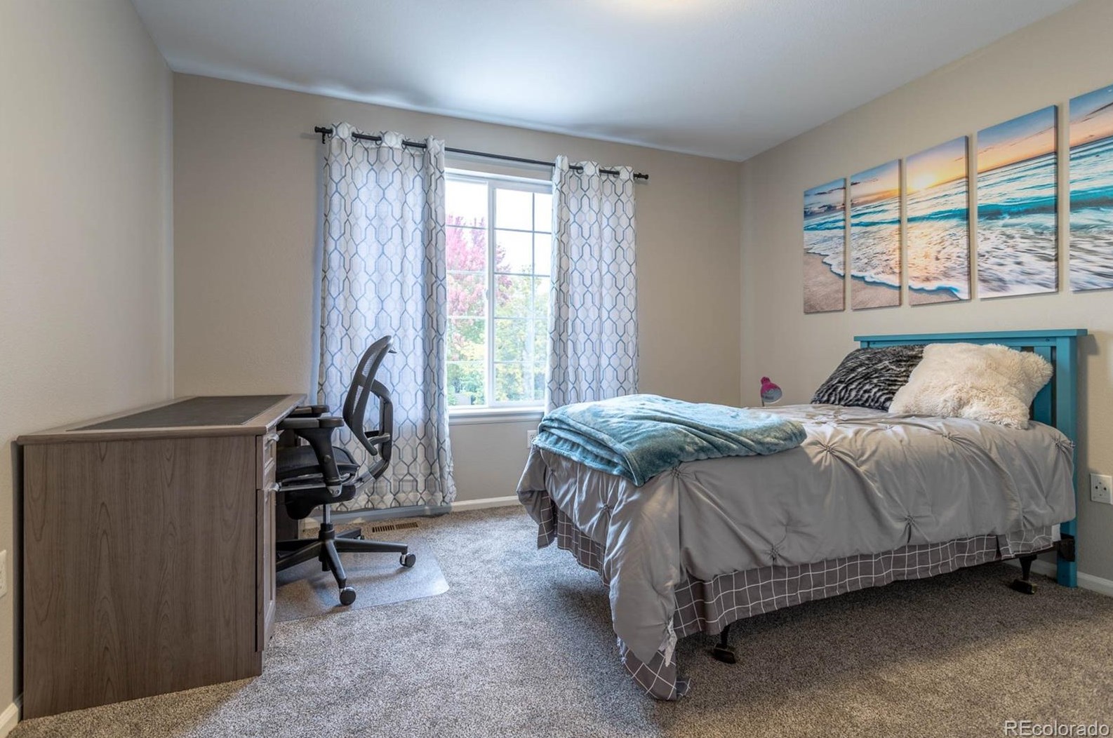 5018 Apache Crk Rd, Castle Rock CO 80109-8463 exterior