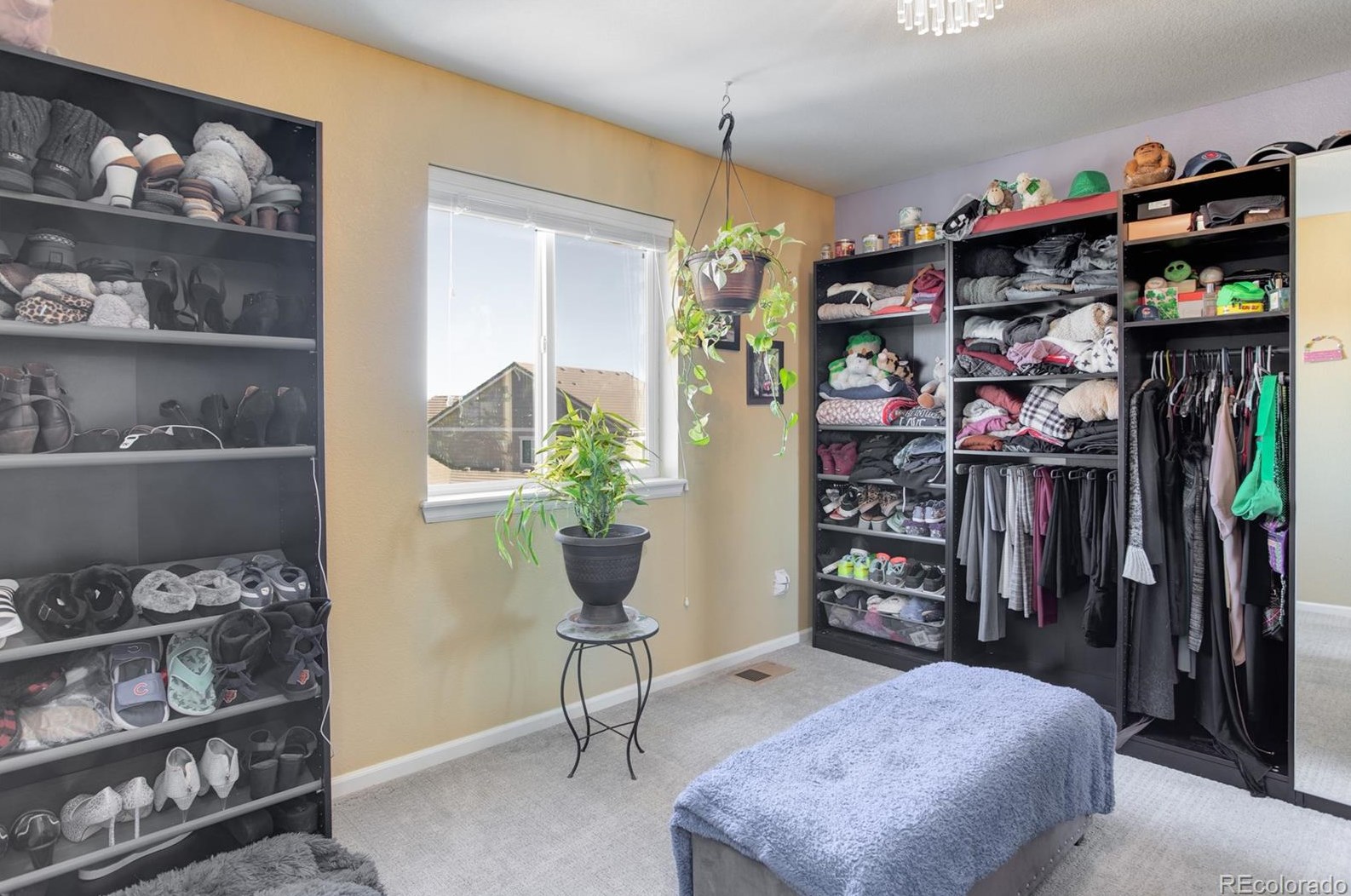 8049 Sabino Ln, Castle Rock CO  80108-9503 exterior