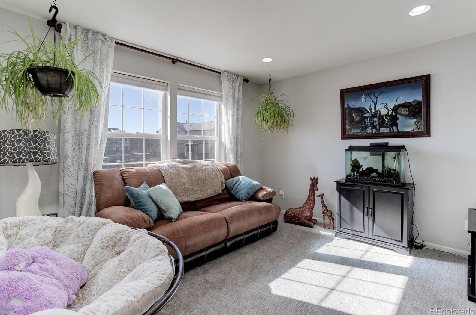 8049 Sabino Ln, Castle Rock CO  80108-9503 exterior