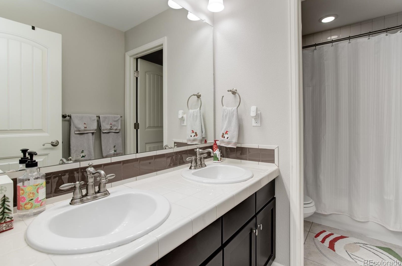 8049 Sabino Ln, Castle Rock CO  80108-9503 exterior