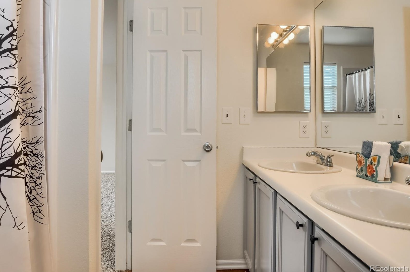 4443 Bennington Ave, Castle Rock CO 80104-8772 exterior