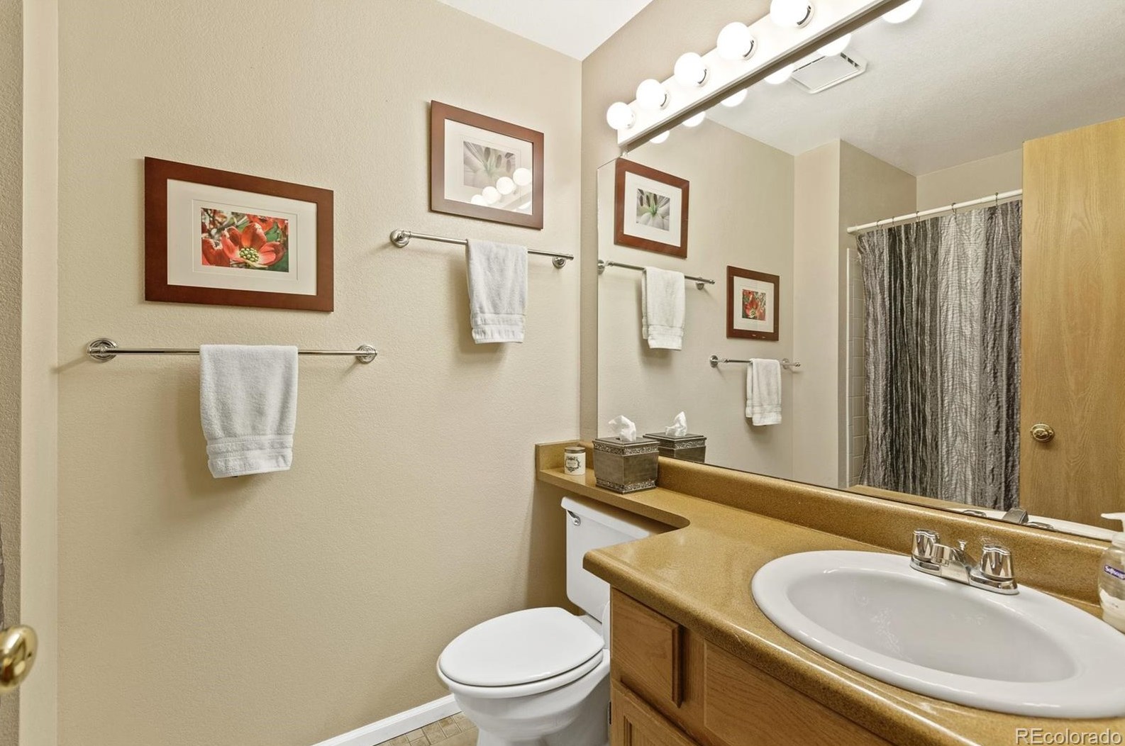 511 White Cloud Dr, Littleton CO 80126-2406 exterior