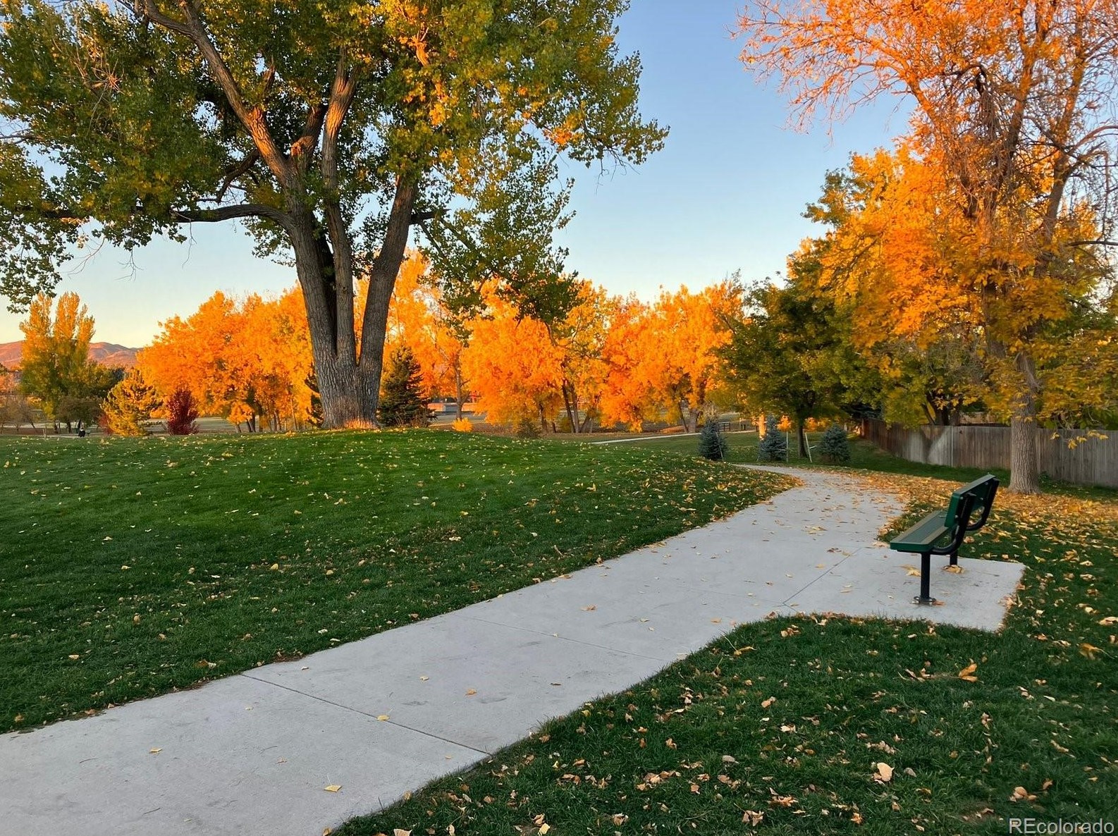 5285 Cody St, Littleton CO 80123-7319 exterior