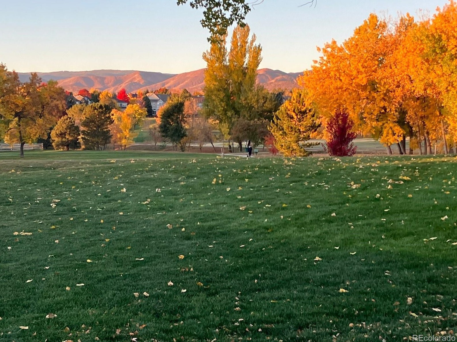 5285 Cody St, Littleton CO 80123-7319 exterior