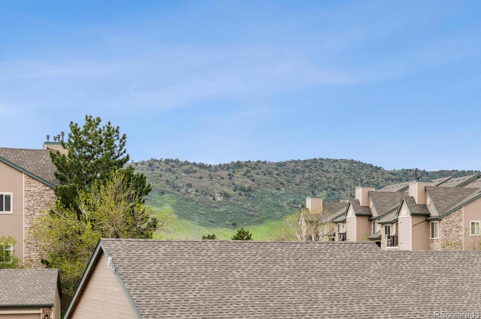 7429 Alkire St, Littleton CO  80127-7535 exterior