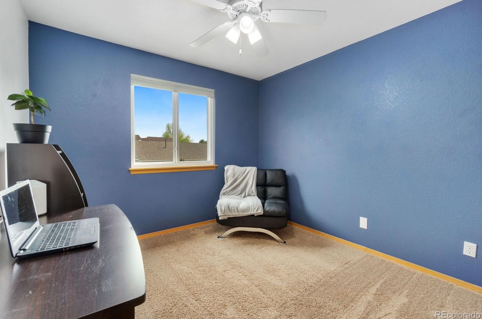 6421 Sparrow Ave, Longmont CO  80504-6551 exterior