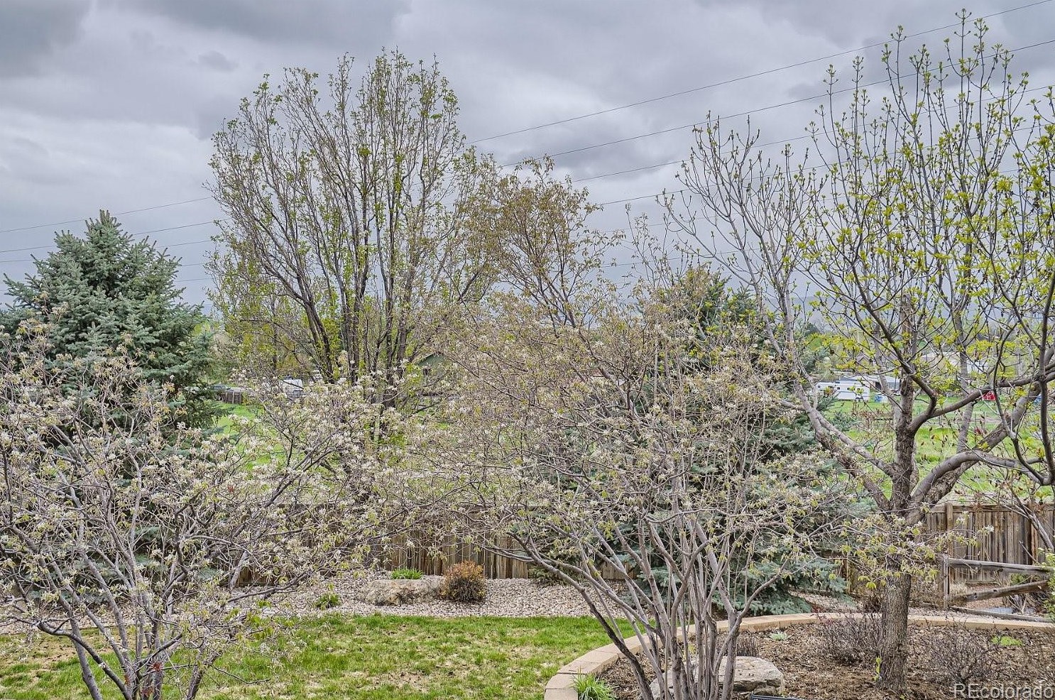 12446 77th Ave, Arvada CO  80005-2955 exterior