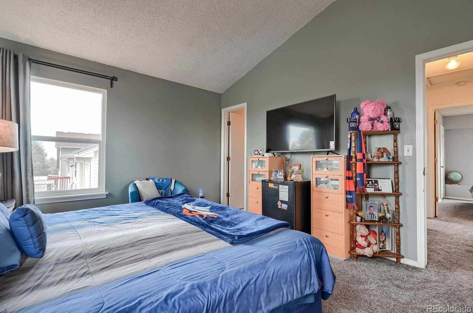 325 Holcomb St, Castle Rock CO  80104-8909 exterior