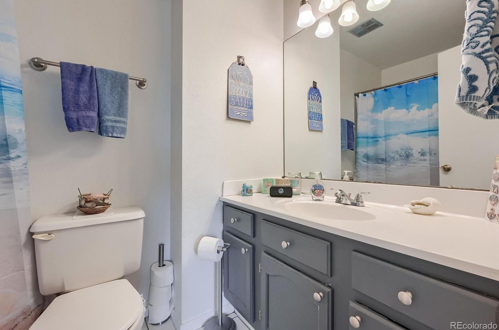 325 Holcomb St, Castle Rock CO  80104-8909 exterior