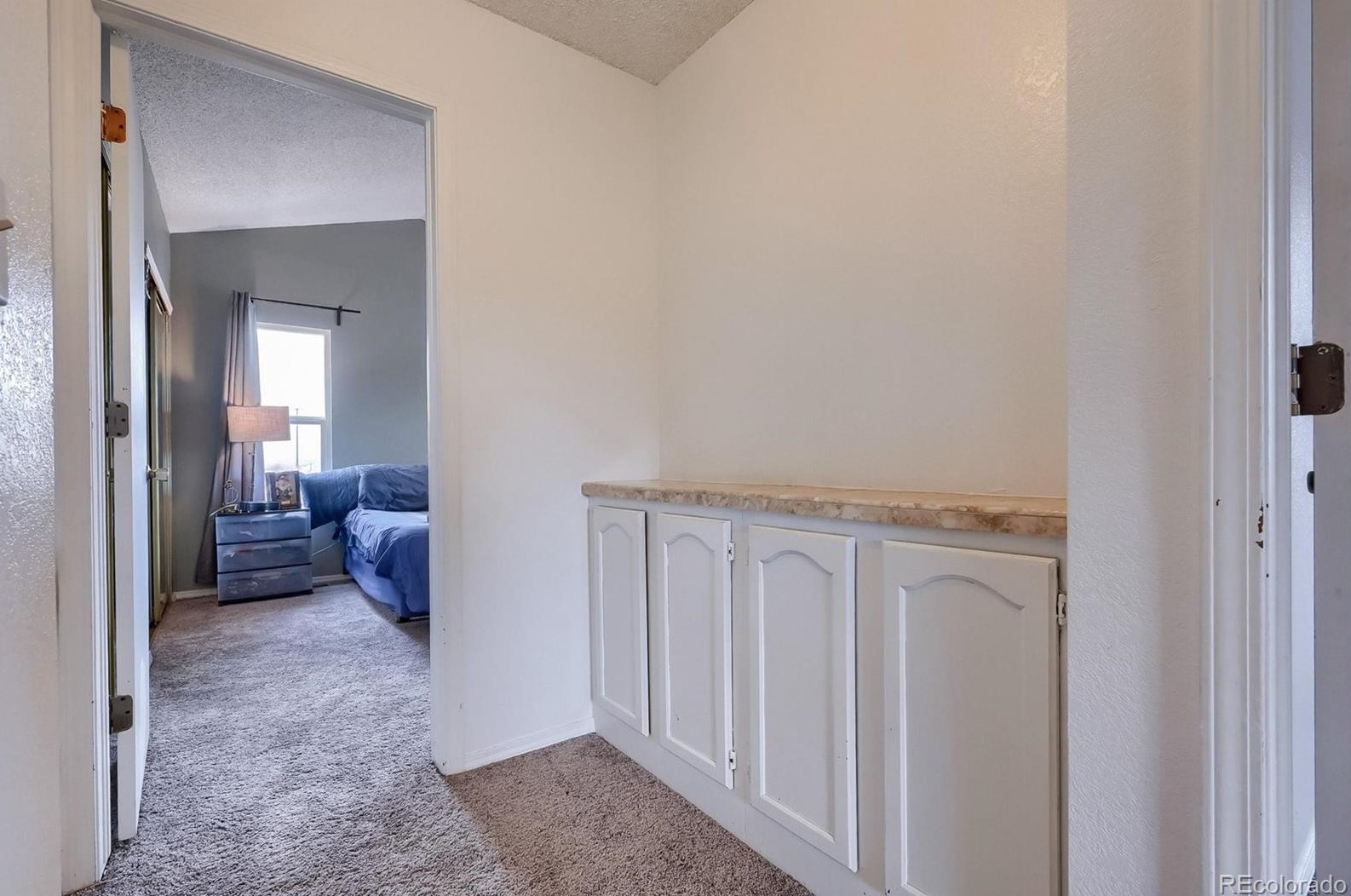 325 Holcomb St, Castle Rock CO  80104-8909 exterior